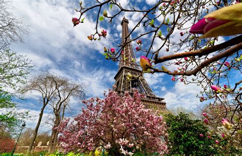 Весна в Париже
 2024.04.26 18:59